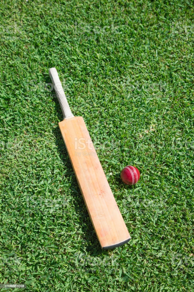 Playing cricket
